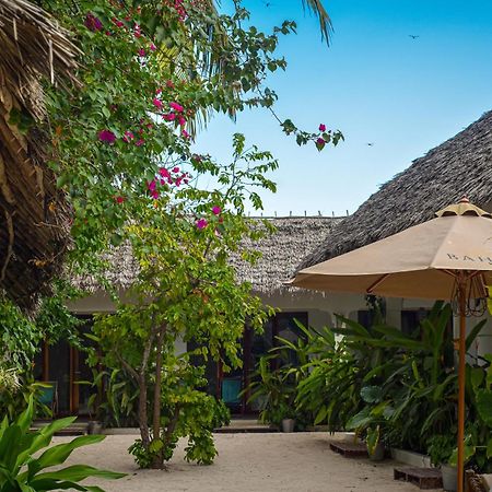Badolina Bungalows Nungwi Extérieur photo