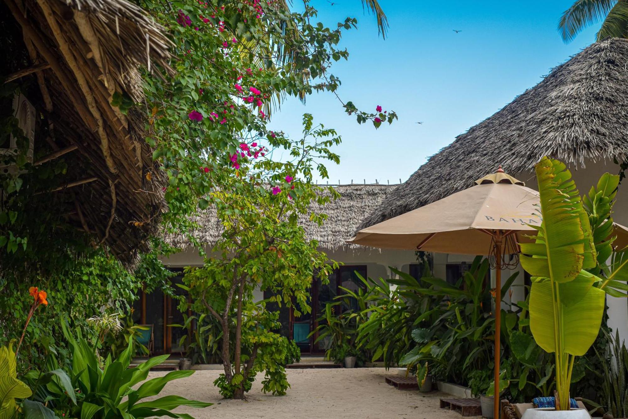 Badolina Bungalows Nungwi Extérieur photo
