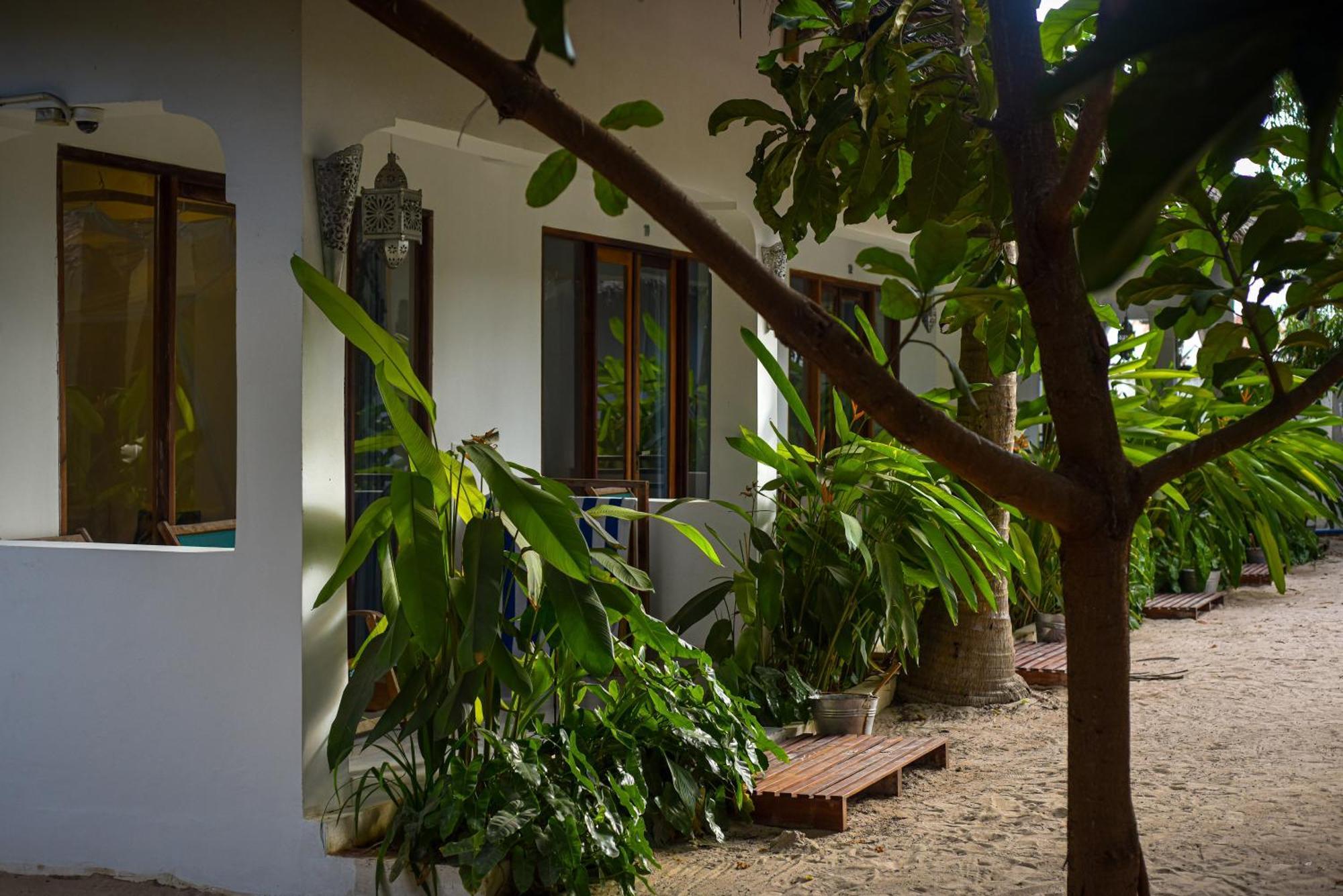 Badolina Bungalows Nungwi Extérieur photo