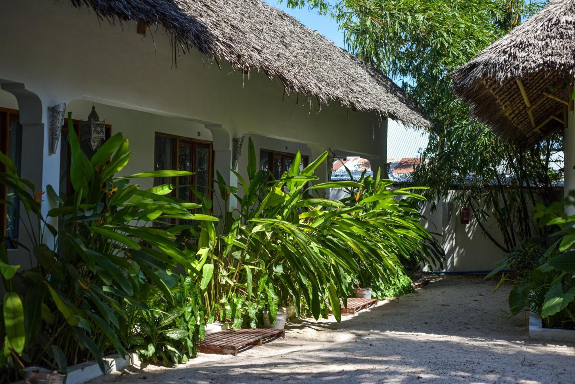 Badolina Bungalows Nungwi Extérieur photo